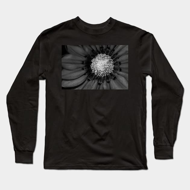 Button Black Long Sleeve T-Shirt by SharonJ